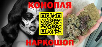 прущие грибы Нягань
