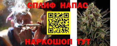 прущие грибы Нягань