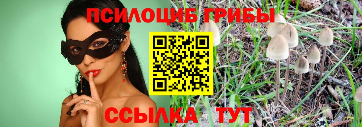 Ростов Великий  Галлюциногенные грибы Psilocybine cubensis  Вход с VPN 