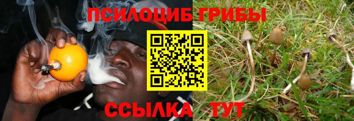 Галлюциногенные грибы GOLDEN TEACHER Ростов Великий